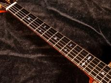 Terry's Terry Premium Terry PTJ-100 GM【ジャーマンスプルース×マダガスカルローズウッド仕様の限定モデルが極上コンディションで入荷です!】解説試奏動画ご覧下さい。_11