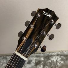 Taylor 124ce Special Edition【現物画像】【最大36回分割無金利キャンペーン実施中】_8