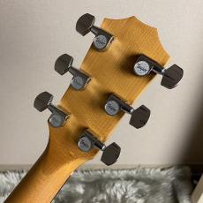 Taylor 124ce Special Edition【現物画像】【最大36回分割無金利キャンペーン実施中】_9