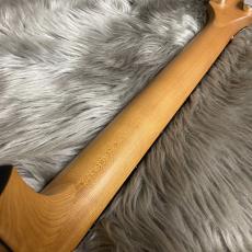 Taylor 124ce Special Edition【現物画像】【最大36回分割無金利キャンペーン実施中】_11