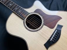 Taylor Taylor 814ce【現物写真】_4