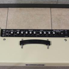 Roland Blues Cube Artist_3