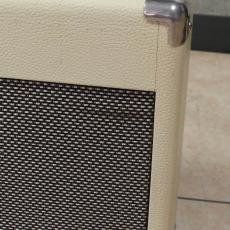 Roland Blues Cube Artist_5