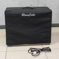 Roland Blues Cube Artist_6