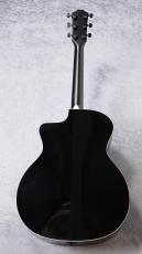 Taylor 【限定モデル!】214ce Plus Special Edition / Trans Blue_4