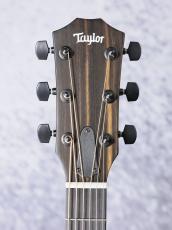 Taylor 【限定モデル!】214ce Plus Special Edition / Trans Blue_11