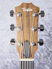 Taylor 【待望の入荷!】Academy 10e_11