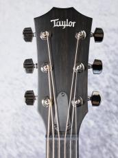 Taylor 【当店オーダーモデル】Custom 414ce V-Class Adirondack spruce TOP_11