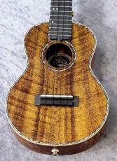 KIWAYA KPC-5K/E【中古・国産】
