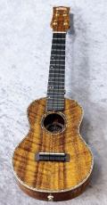 KIWAYA KPC-5K/E【中古・国産】_2