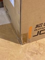 Roland JC-22_2