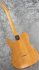 Fender 【1968年製】Telecaster Thinline -Ash- ≒3.10kg_9