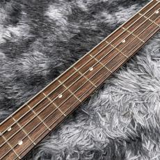 Black Smoker Standard Series BETA PJ5 XL 2-Tone Sunburst w/Gold Hardwear【国産ハイエンド】【2025年製】_5