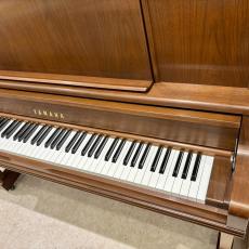 YAMAHA YU5Wn【現物写真】_5