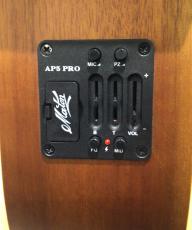 Maton EBG808TE (Tommy Emmanuel Signature)_9