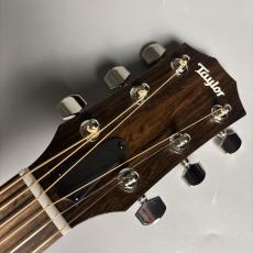 Taylor 【現物画像】EG-214ce Urban Ash エレアコギター/島村楽器オリジナルモデル_2