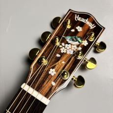 Headway 【現物画像】HF-KOBOREZAKURA アコースティックギター_2