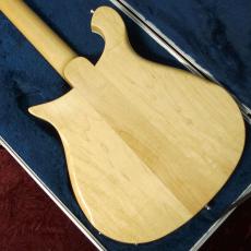 Rickenbacker 620-12 MG_2
