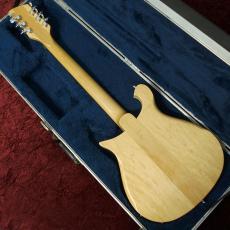 Rickenbacker 620-12 MG_4