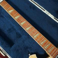 Rickenbacker 620-12 MG_5