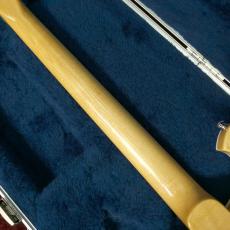 Rickenbacker 620-12 MG_6