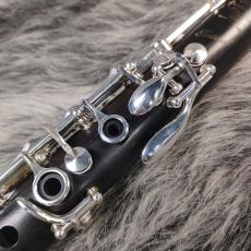 Buffet Crampon Festival SP B♭_5