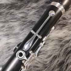 Buffet Crampon Festival SP B♭_9