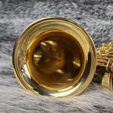 YAMAHA YAS-82Z_4