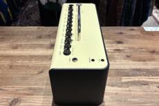 YAMAHA THR10II_3