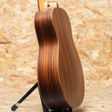 Taylor GS mini-e Rosewood SB_5