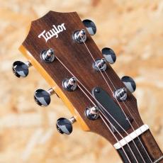 Taylor GS mini-e Rosewood SB_8