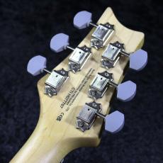 Paul Reed Smith [PRS] 【3.33kg】SE SILVER SKY -Platinum Spark- #CTI H079579【2025】【限定カラー】_11