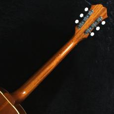 Epiphone 【中古ご委託品】【純国産】【寺田楽器製】【漆黒指板】FT-79N 1964 Texan_9