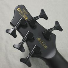 Ibanez BTB625EX "IronLabel"- Black Flat -【4.49kg】#I251213368_10