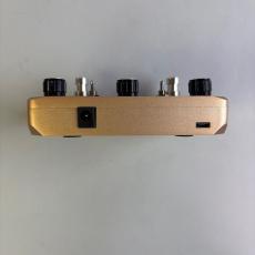 Rowin Twin Looper_3