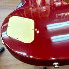Epiphone Les Paul Standard_8