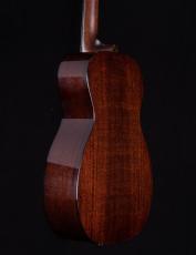 Bourgeois 0 HogTop_12