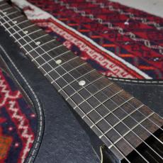 Harmony 1969 H81 Rebel_6