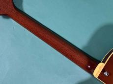 KING SNAKE LESTER POISON BURST_8