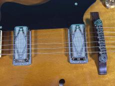 KING SNAKE LESTER POISON BURST_10