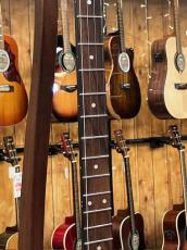 GOLD TONE AC-4P Acoustic Composite Plectrum Banjo_4