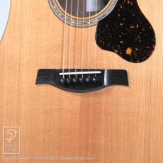 Switch D-70【60回無金利対象品】_11