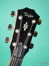 Taylor GC Custom V-Class "Adirondack Top"_3