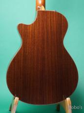 Taylor GC Custom V-Class "Adirondack Top"_4