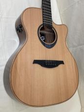 LAG Guitars TBW2ACE