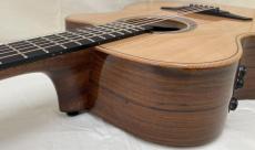 LAG Guitars TBW2ACE_8