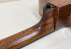 LAG Guitars TBW2ACE_14
