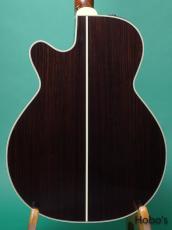 Takamine TDP55H "Special Order Made" [Price Down!]_4
