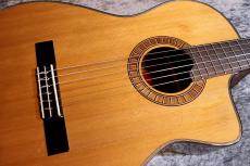Martinez MP-12 MH 【サンプル写真】【杉・マホガニー】【エレガット】【池袋店在庫品】_3