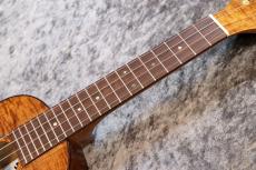 Famous FC-500 Premium  個体番号1 【コンサート】【プレミアムモデル】【現物写真】【池袋在庫品】_9